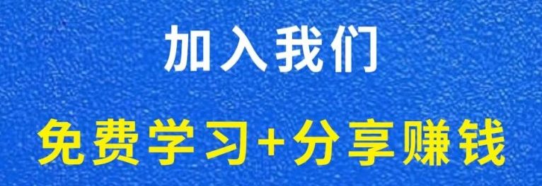 白菜价解锁20000+N个赚钱机会，加入轻创终点站会员，全站资源免费学习。-智屿梦轻创