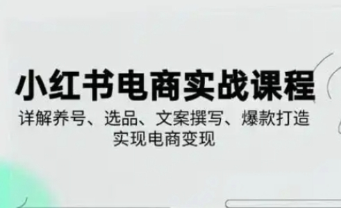 小红书从0-1实操课(2023-2025)，详解养号、选品、文案撰写、爆款打造实现电商变现-智屿梦轻创