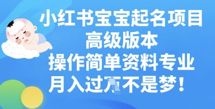 小红书宝宝起名项目高级版本，操作简单，资料专业，月入过W-智屿梦轻创
