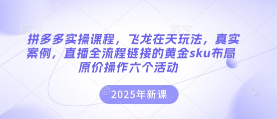 拼多多实操课程,飞龙在天玩法,真实案例,直播全流程链接的黄金sku布局原价操作六个活动-智屿梦轻创