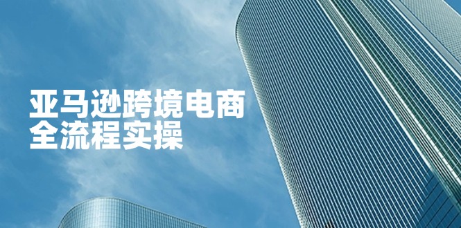 （14252期）亚马逊跨境电商全流程实操，教你从零开始，掌握店铺运营与广告技巧-智屿梦轻创