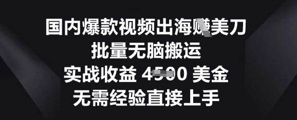 国内爆款视频出海挣美刀,批量无脑搬运,实战收益4.5k,无需经验直接上手-智屿梦轻创