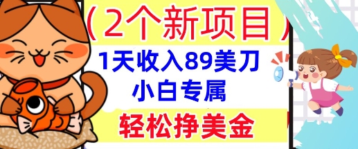 2个新项目，轻松挣美金， 1天收入89美刀，小白专属，干货分享-智屿梦轻创