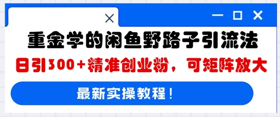 重金学的闲鱼野路子引流法，日引300+精准创业粉，可矩阵放大-智屿梦轻创