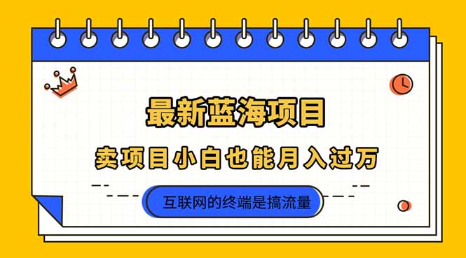 （14289期）2025年最新蓝海项目，卖项目小白也能月入过万-智屿梦轻创