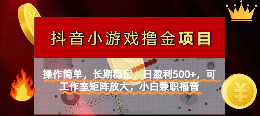 (14290期)【抖音小游戏发行人计划项目】操作简单,长期稳定,日盈利500+,可工作...-智屿梦轻创