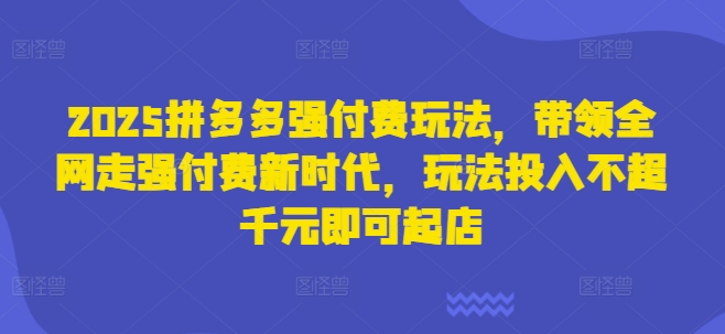2025拼多多强付费玩法，带领全网走强付费新时代，玩法投入不超千元即可起店-智屿梦轻创