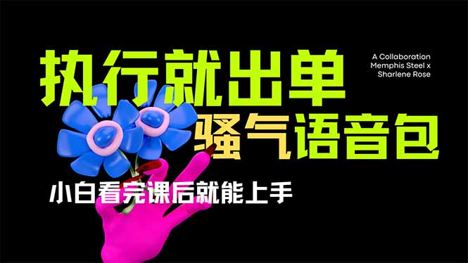 (14170期)爆火全网的开车导航骚气语音包,只要执行就出单,小白看完课程就能实操...-智屿梦轻创