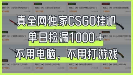 真全网独家CSGO挂G，单日捡漏1k+【揭秘】-智屿梦轻创