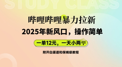 哔哩哔哩暴力拉新：2025年新风口，一单12元，一天数张(附开白渠道和保姆级教程)-智屿梦轻创