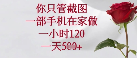 你只管截图,一部手机在家操作,一小时120.一天5张【揭秘】-智屿梦轻创